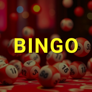 bingo sponsorships